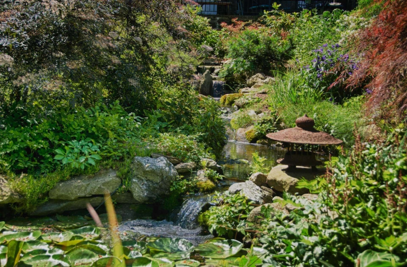 paysagiste-CHATEAUNEUF D ENTRAUNES-min_pond-waterfall